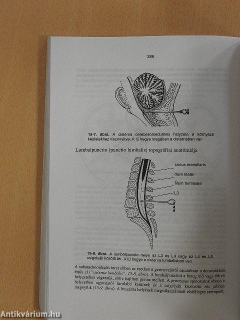 Klinikai anatómia