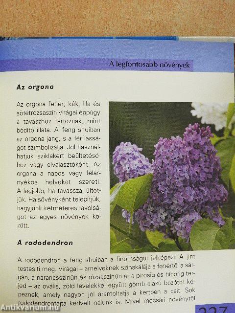 Ház és kert