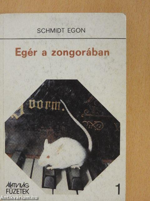 Egér a zongorában