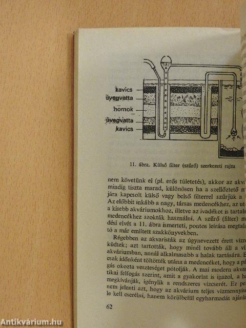 Egér a zongorában
