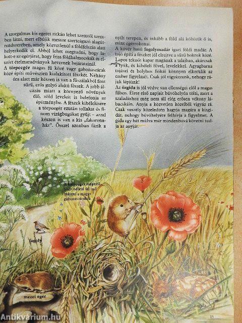 Hol laknak az állatok?