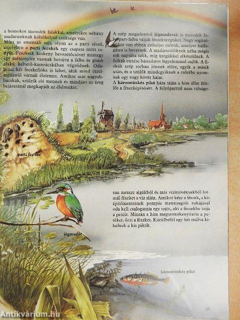 Hol laknak az állatok?