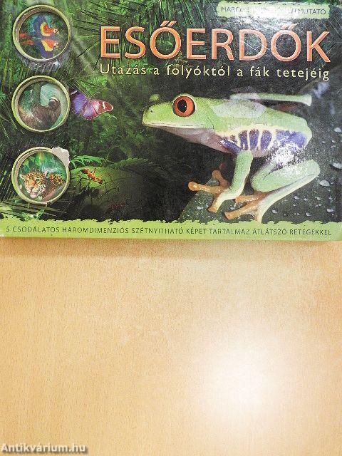 Esőerdők