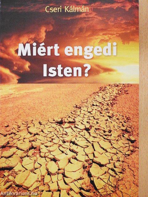Miért engedi Isten?