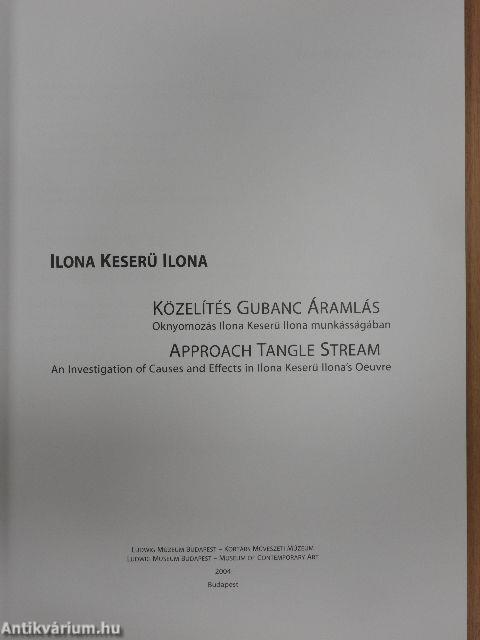 Közelítés Gubanc Áramlás