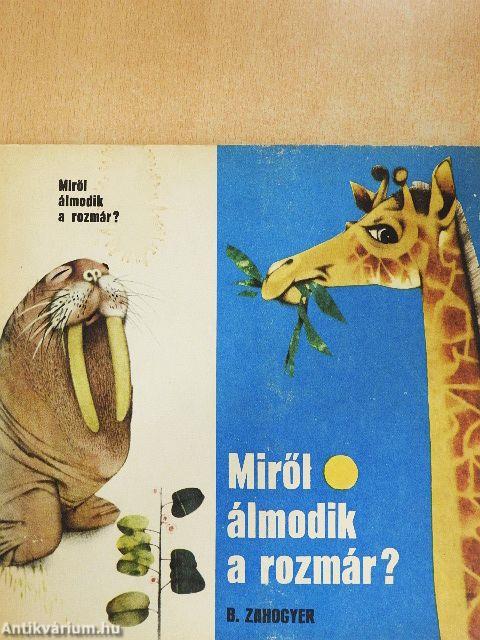 Miről álmodik a rozmár?