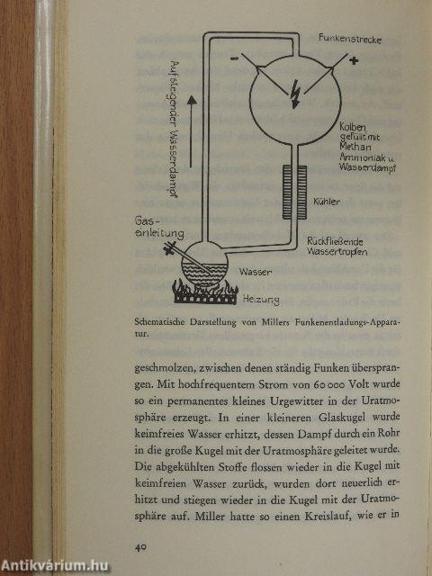 Zurück zu den Sternen