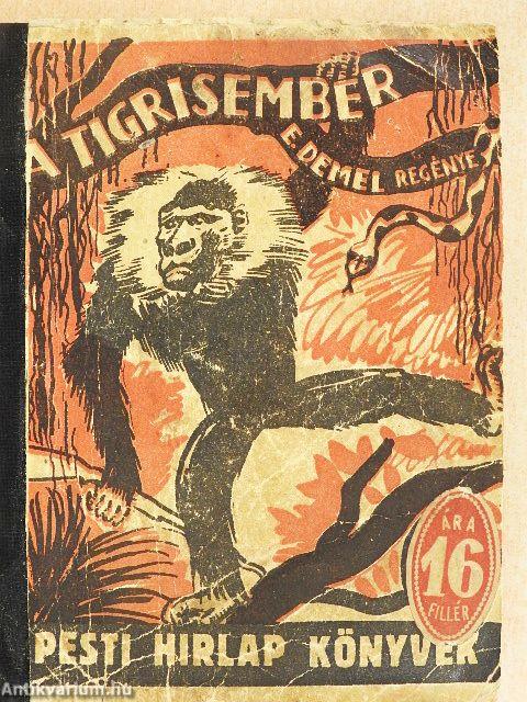 A tigrisember