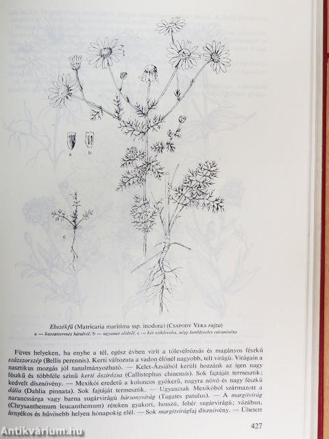 Agrobotanika