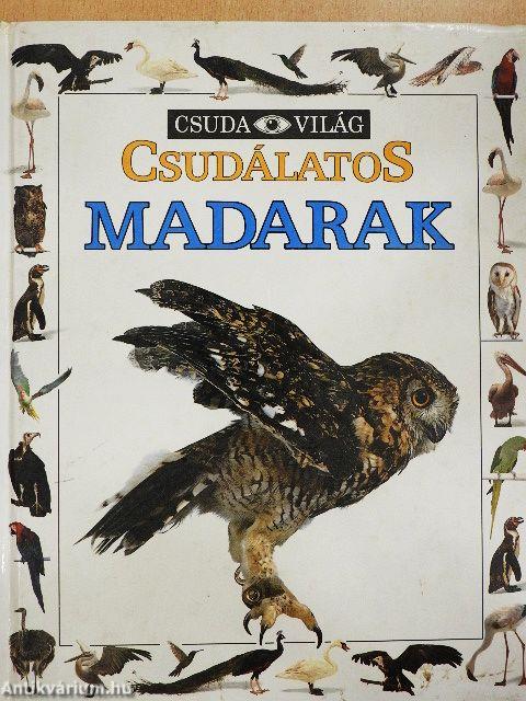 Csudálatos madarak