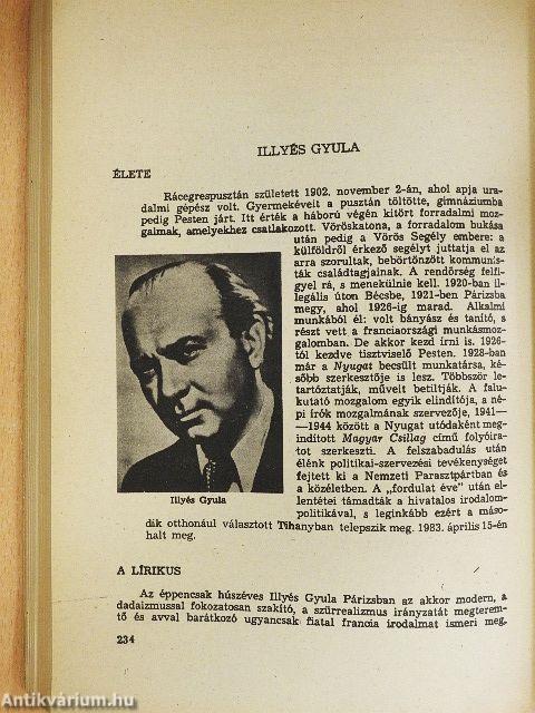 Az irodalom könyve