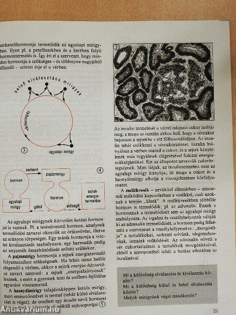Biológia 8.
