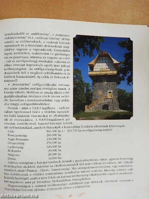 Sztárerdő