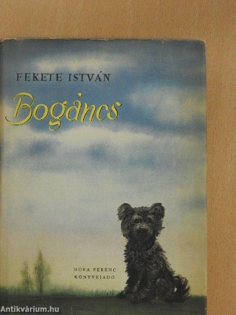 Bogáncs