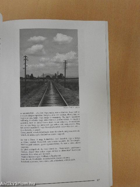 Műhely 2010/1-2.