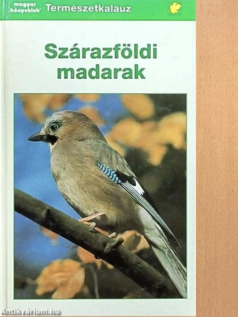 Szárazföldi madarak