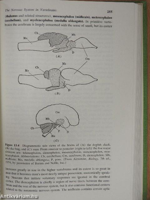 General Biology