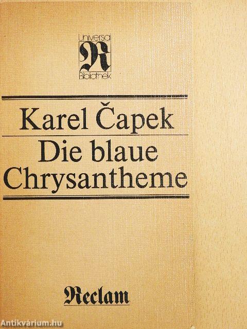 Die blaue Chrysantheme