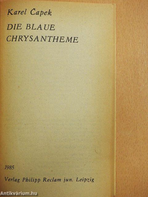 Die blaue Chrysantheme