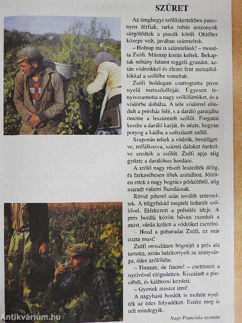 Aranyablak