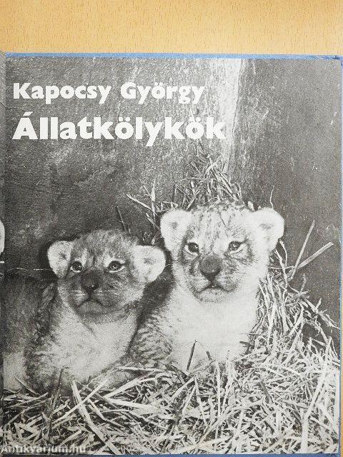 Állatkölykök