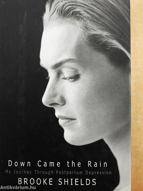 Down Came the Rain