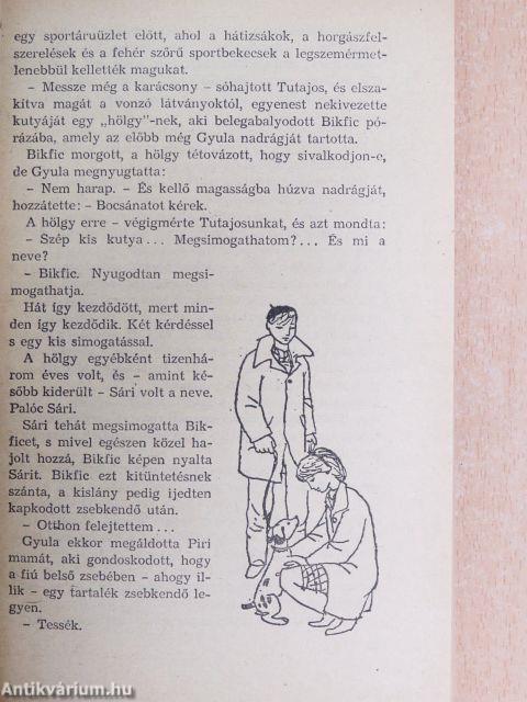 Téli berek