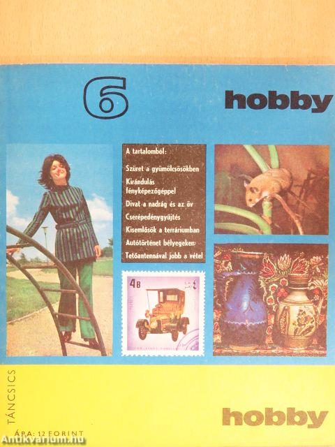 Hobby 6.