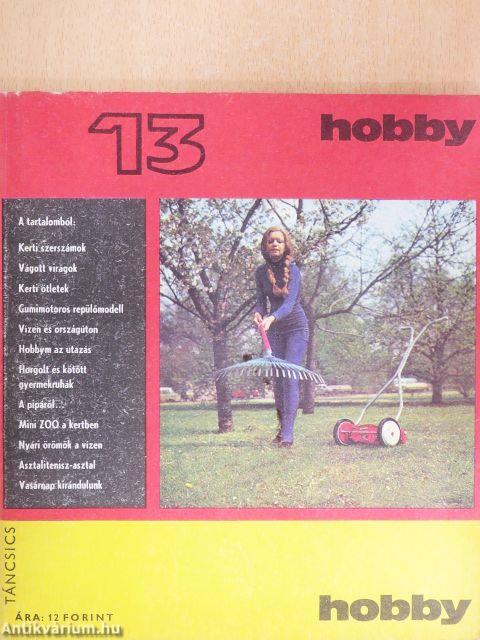 Hobby 13.