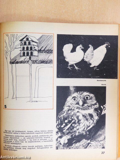 Hobby 13.