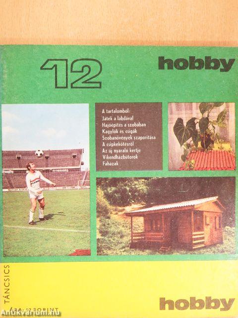 Hobby 12.