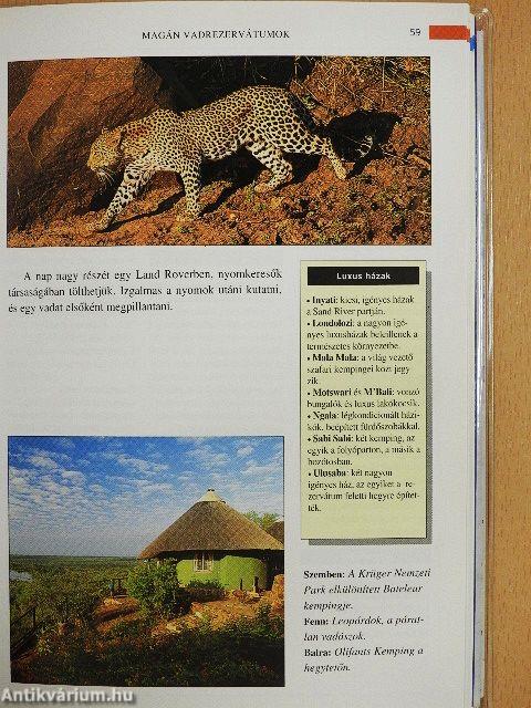 Dél-Afrika