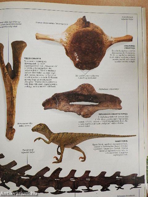 A dinoszaurusz
