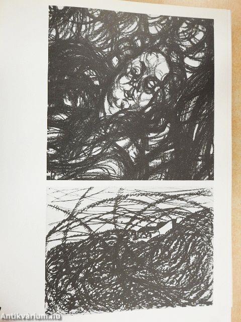 Moholy-Nagy László