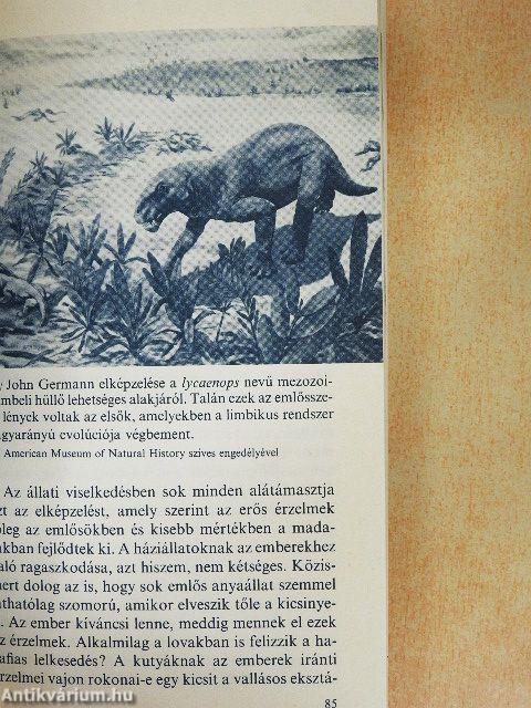 Az éden sárkányai