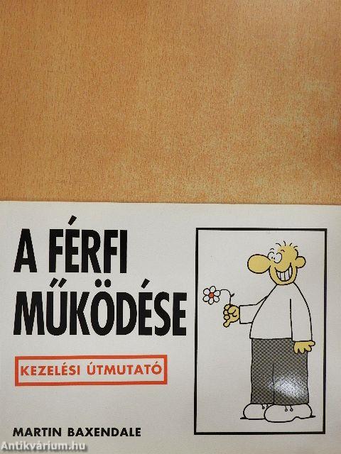 A férfi működése