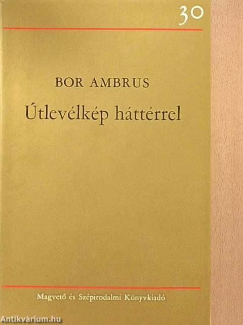 Útlevélkép háttérrel