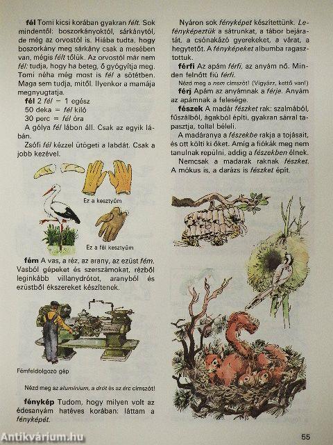 Ablak-Zsiráf