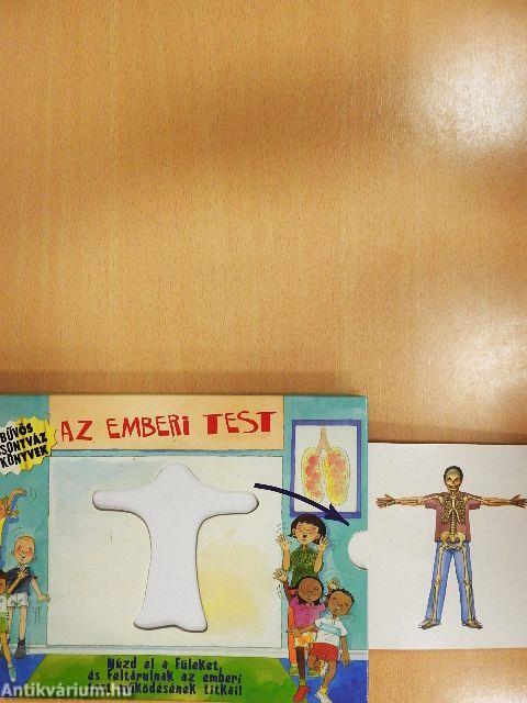 Az emberi test