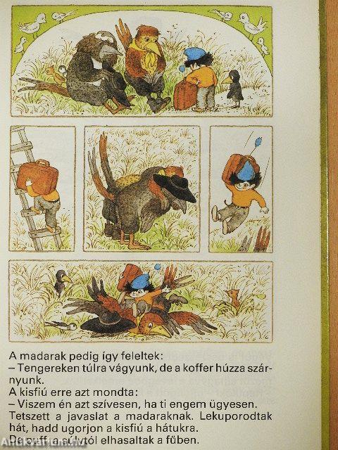 Volt egyszer egy kisfiú
