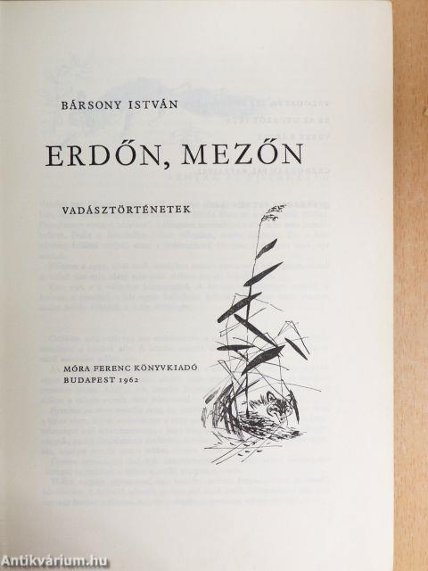 Erdőn, mezőn