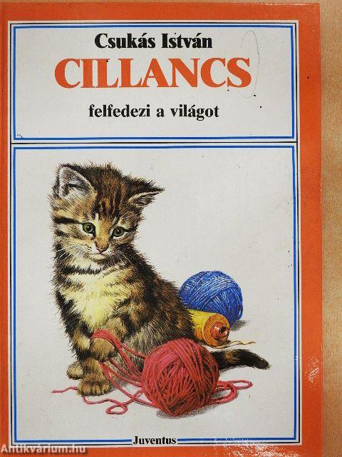 Cillancs felfedezi a világot
