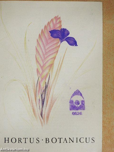Hortus Botanicus