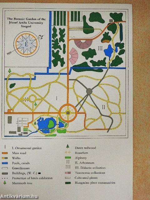 Hortus Botanicus
