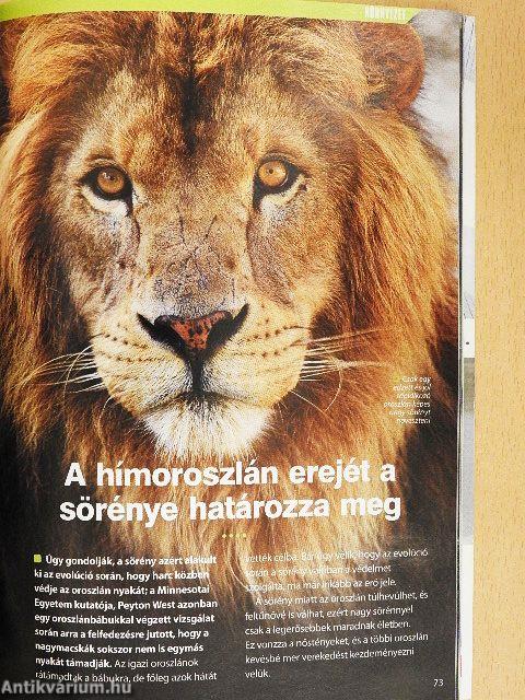 Hogy van ez?