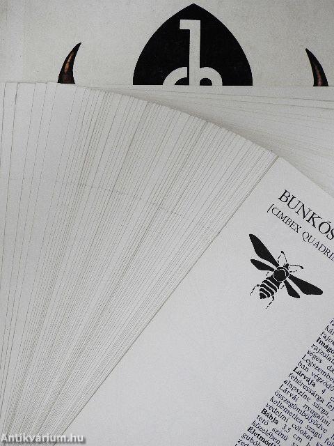 "A rovarok megékesítették a Földet"
