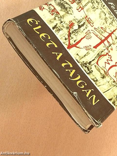 Élet a tajgán
