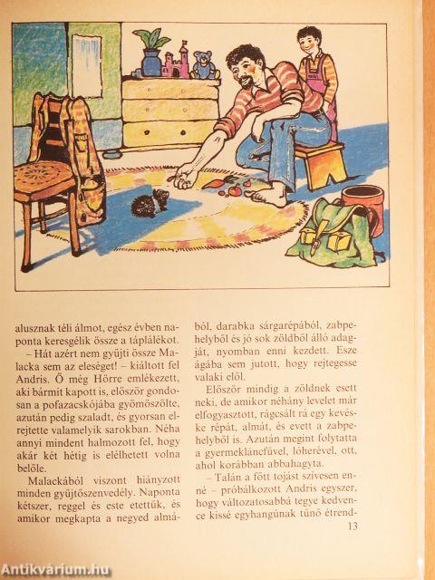 Szervusz, Malacka!
