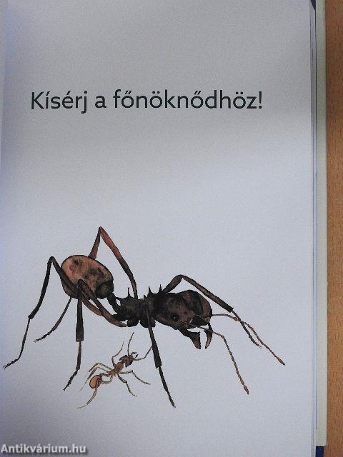 Hangyák