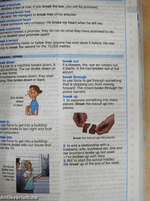 Longman WordWise Dictionary - CD-vel
